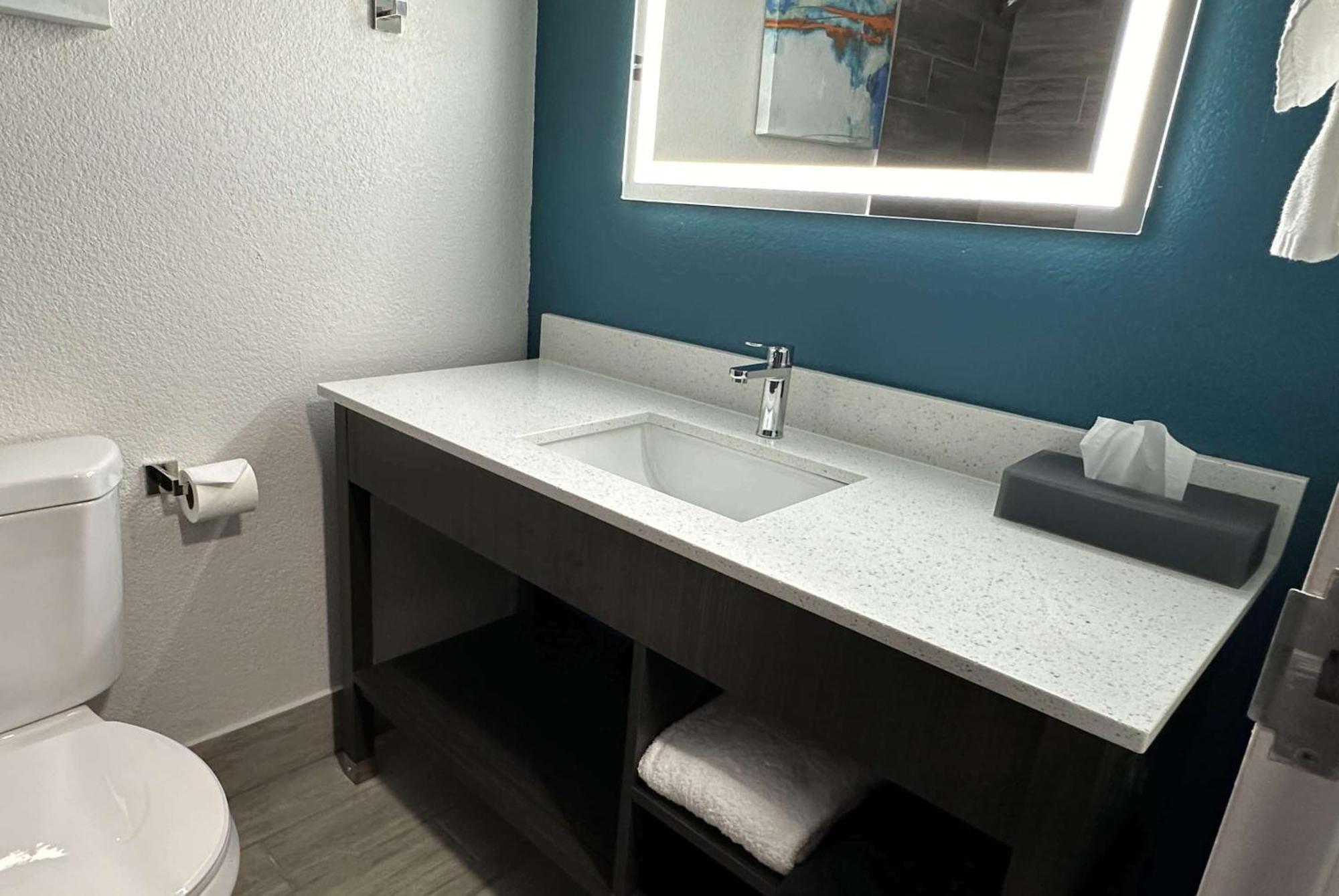 La Quinta Inn & Suites By Wyndham South Holland Buitenkant foto